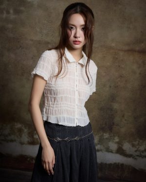 Shirring Sheer Shirt