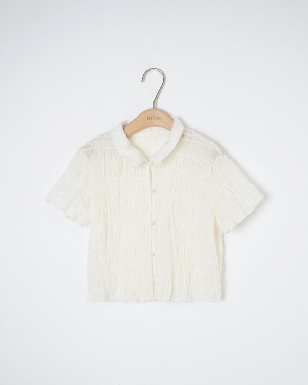 Shirring Sheer Shirt